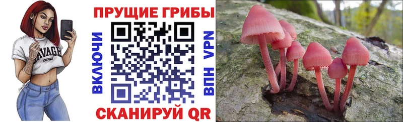купить закладку  Харовск  Галлюциногенные грибы прущие грибы 