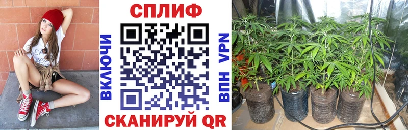 Канабис планчик  где продают наркотики  блэк спрут как войти  Харовск 